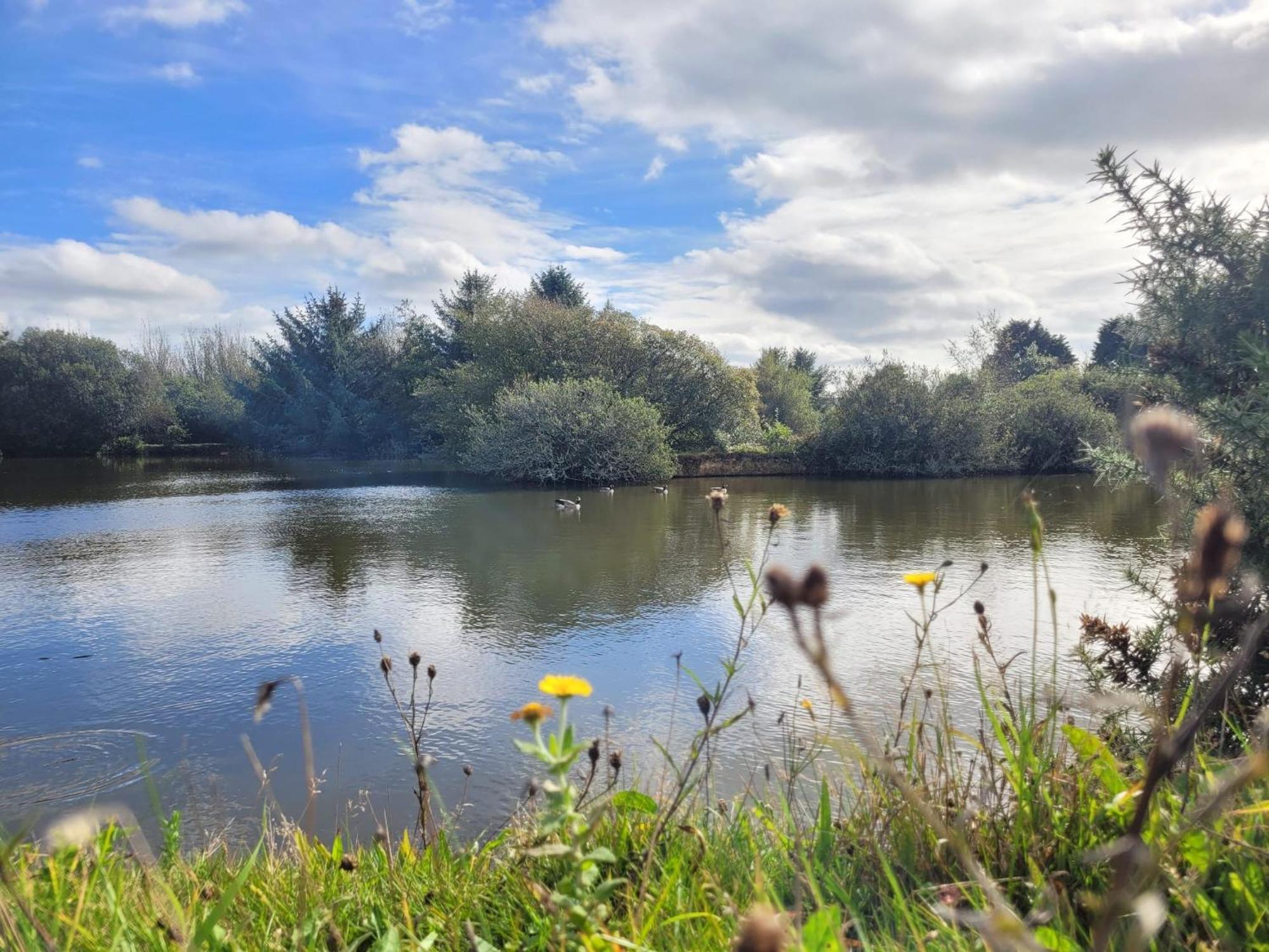 Lakeside Glamping Firecrest St Columb Major Exterior photo