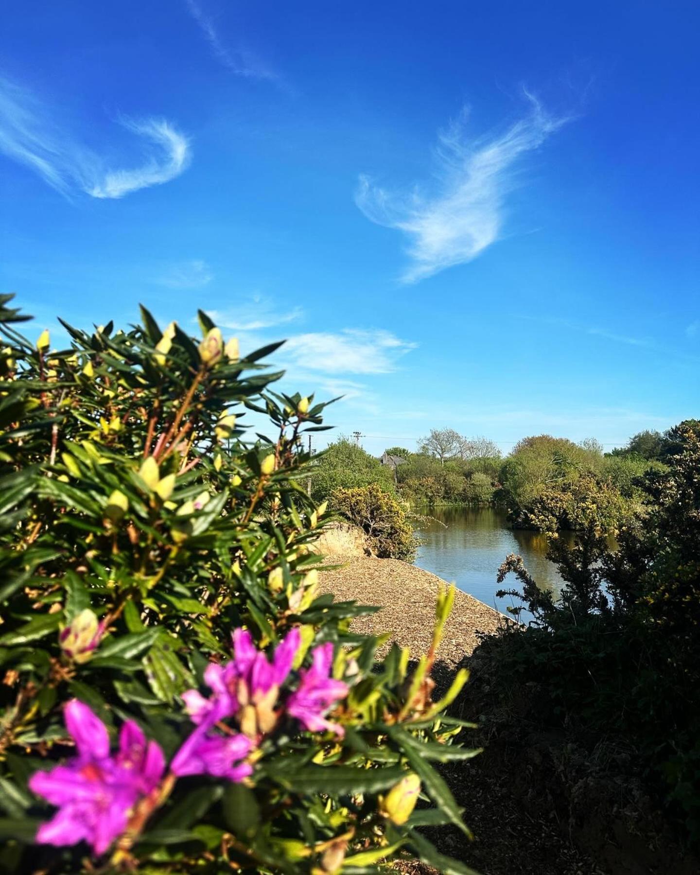 Lakeside Glamping Firecrest St Columb Major Exterior photo