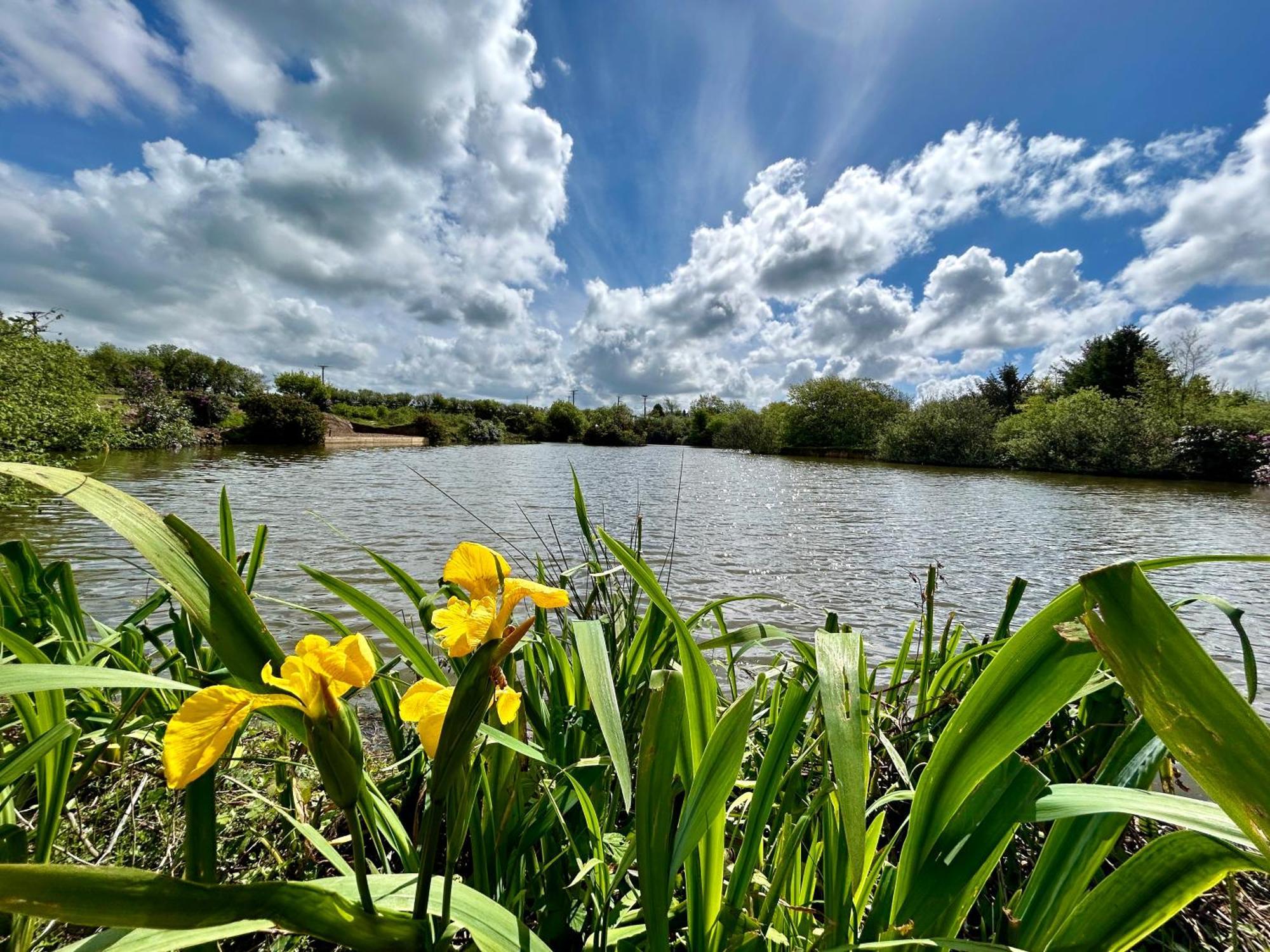 Lakeside Glamping Firecrest St Columb Major Exterior photo